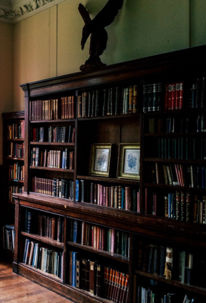 Magical Realism in Contemporary Literature: Blending Reality and Fantasy